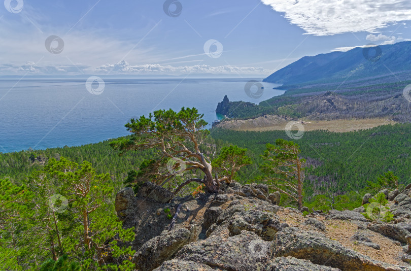 Скачать Вид на берег озера Байкал со склона прибрежной горы. фотосток Ozero