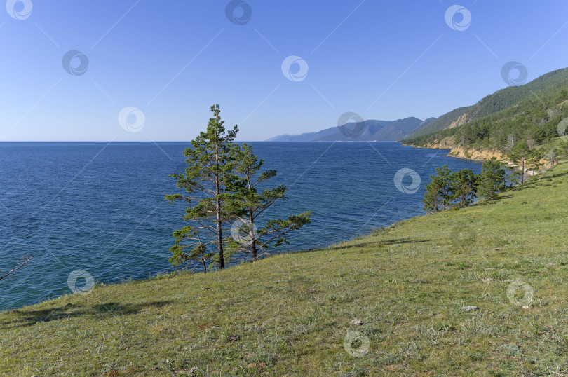 Скачать Гористое побережье, поросшее соснами. Озеро Байкал. фотосток Ozero