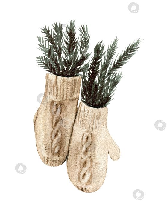 Скачать рождественские еловые ветки в варежках для украшения. Акварельная иллюстрация, нарисованная от руки. фотосток Ozero