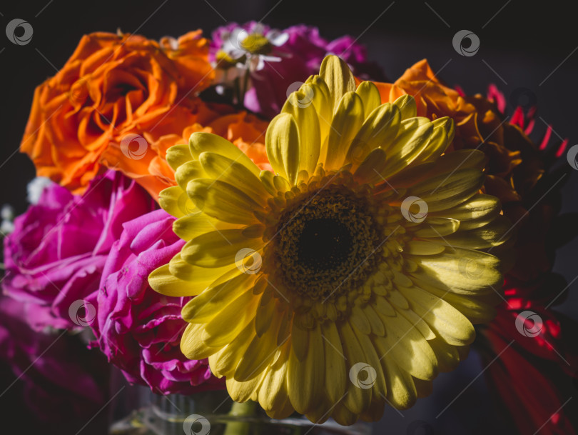 Скачать Букет цветов на окне крупным планом.Отрисованное изображение. фотосток Ozero