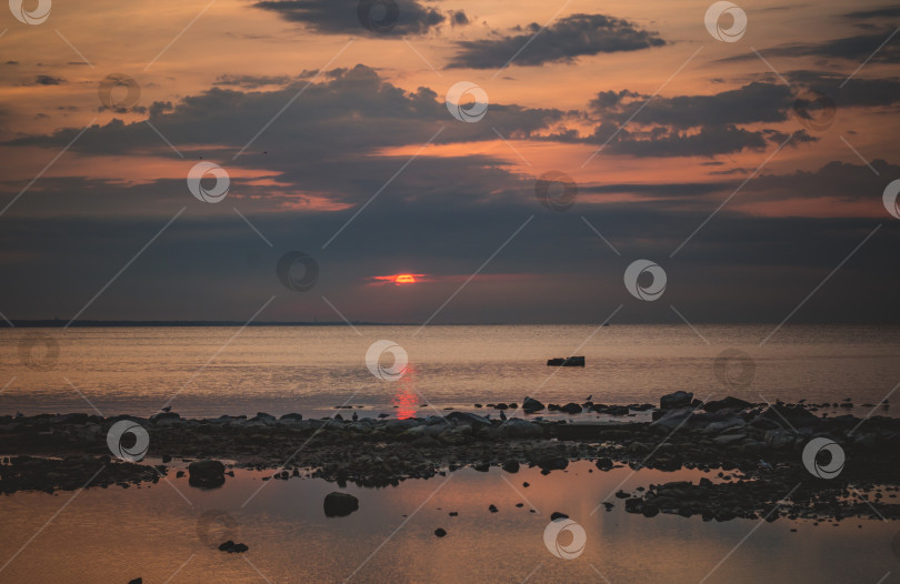Скачать Песчано-скалистый берег Финского залива на закате летом фотосток Ozero