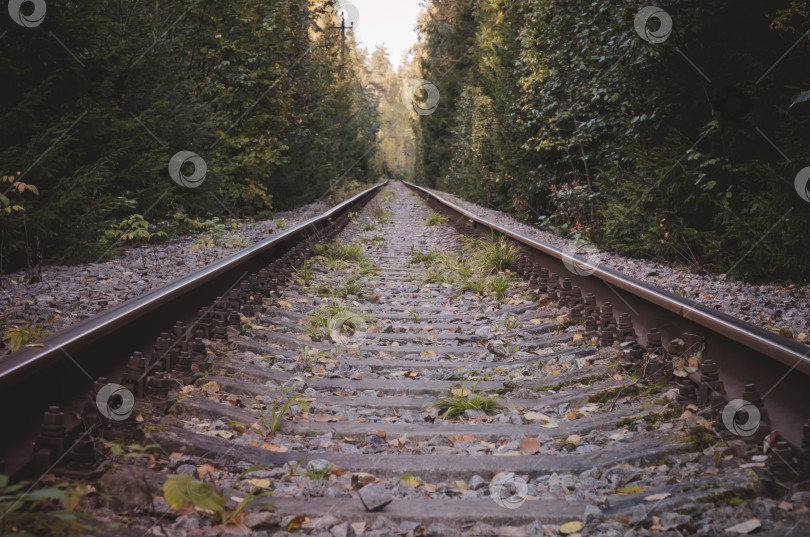 Скачать Старая железная дорога в осеннем лесу.Рельсы крупным планом фотосток Ozero