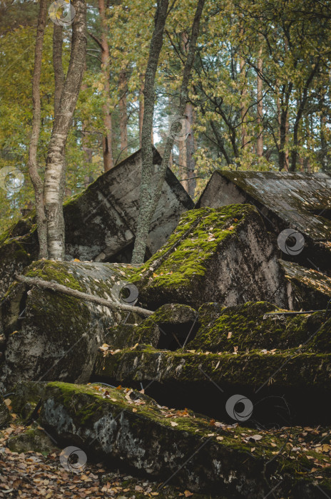 Скачать Каменные руины в лесу.Осенний лес со мхом фотосток Ozero