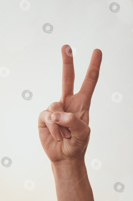 Скачать Женская рука показывает два пальца на белом фоне фотосток Ozero