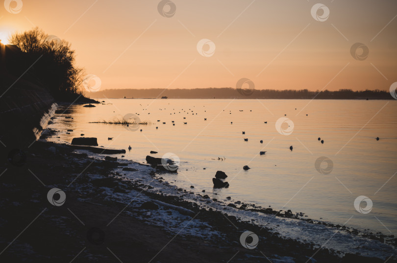 Скачать Закат на набережной в городе. Городской пейзаж фотосток Ozero