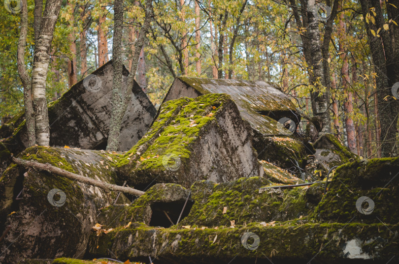 Скачать Каменные руины в лесу.Осенний лес со мхом фотосток Ozero