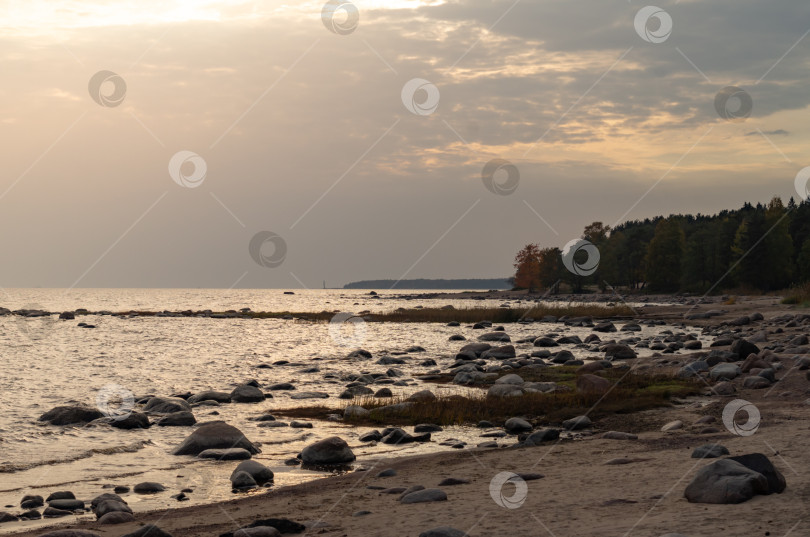 Скачать Закат на берегу Финского залива, Россия.Осенний пейзаж фотосток Ozero