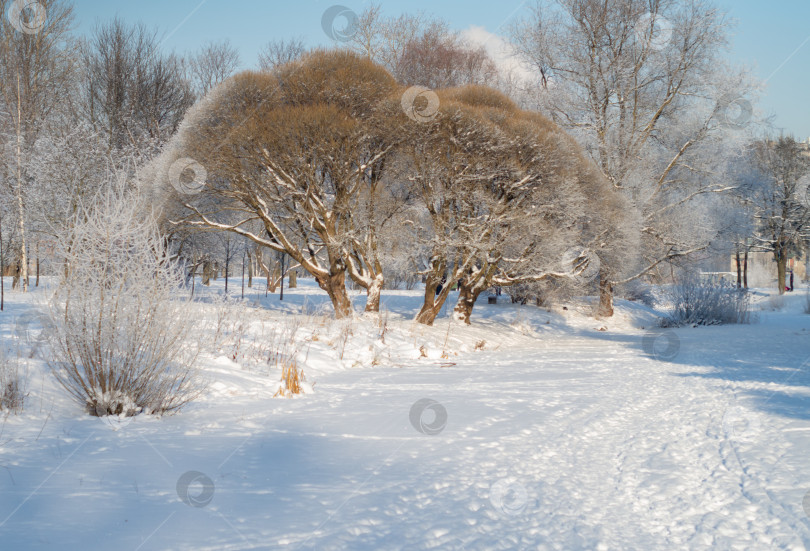Скачать Солнечный зимний день.Городской парк с замерзшим прудом. фотосток Ozero