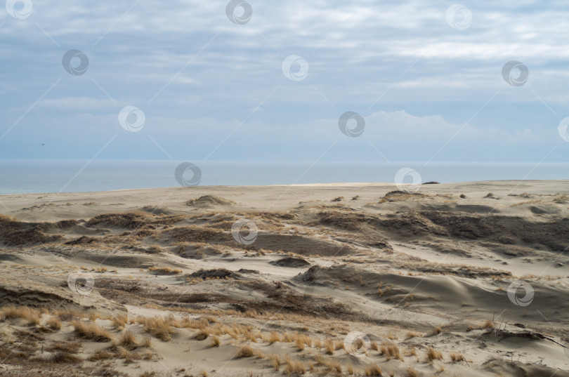 Скачать Песчаные дюны на пляже. Пустынный пейзаж. фотосток Ozero
