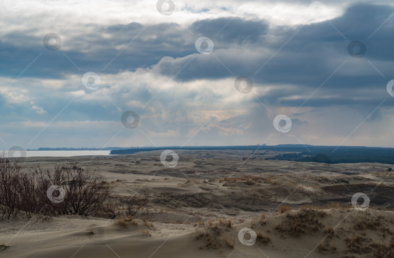 Скачать Песчаные дюны на пляже. Пустынный пейзаж. фотосток Ozero