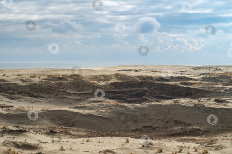 Скачать Песчаные дюны на пляже. Пустынный пейзаж. фотосток Ozero