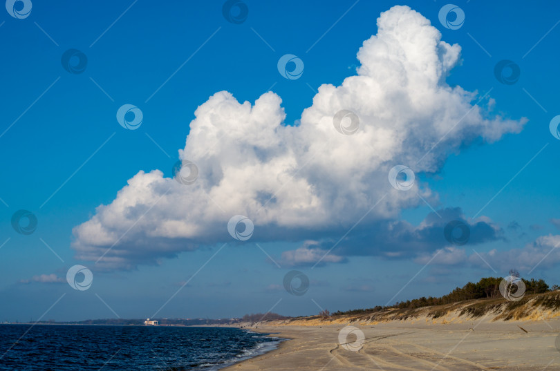 Скачать Пейзаж с морским берегом и белыми облаками на голубом небе фотосток Ozero