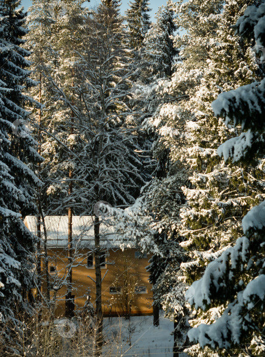 Сказочный домик в зимнем лесу
