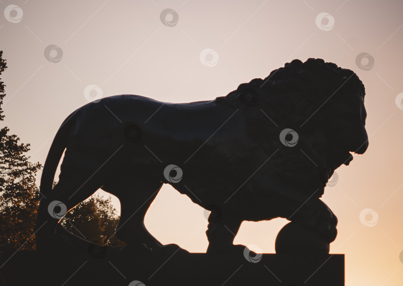 Скачать Скульптура льва на Адмиралтейской набережной на закате. фотосток Ozero