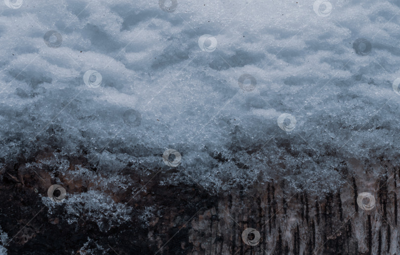 Скачать Крупный план ствола дерева, покрытого снегом. Текстура льда. фотосток Ozero
