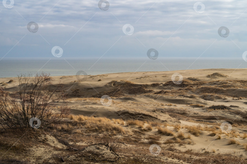 Скачать Песчаные дюны на пляже. Пустынный пейзаж. фотосток Ozero