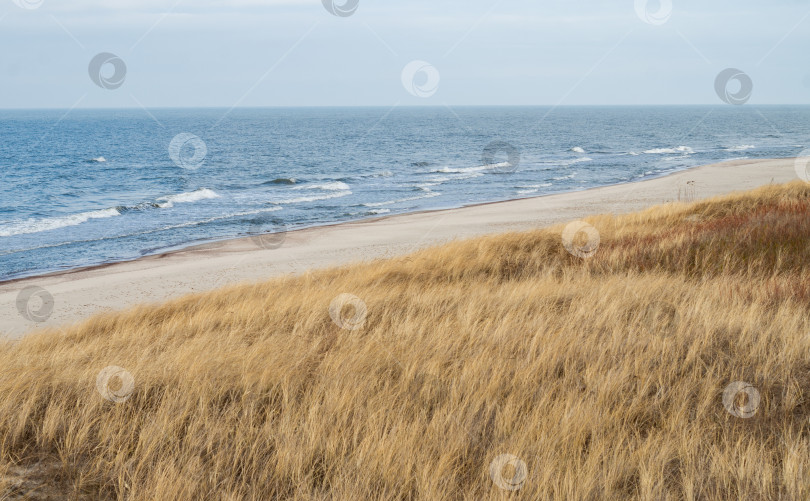 Скачать Вид на морское побережье Балтийского моря. фотосток Ozero