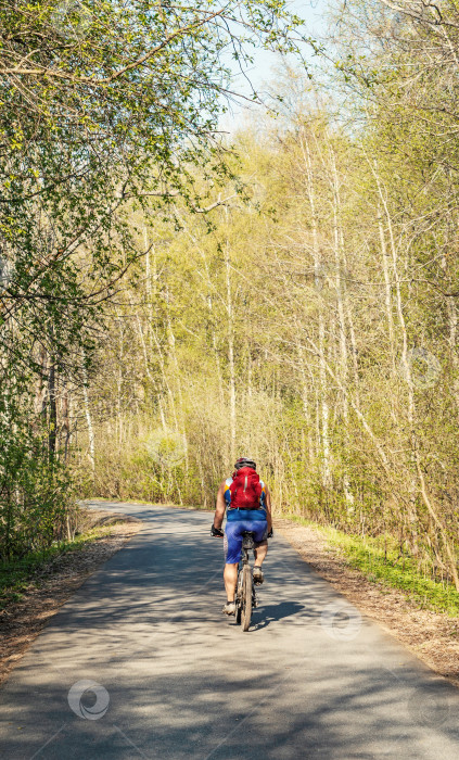 Скачать Велосипедист едет по лесной дороге. фотосток Ozero