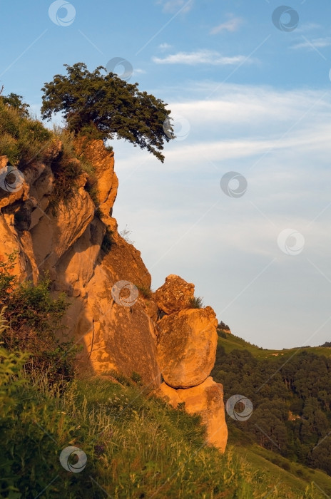 Скачать дерево, растущее из скалы на закате. Красочный пейзаж со старым деревом, горами и небом вечером. фотосток Ozero