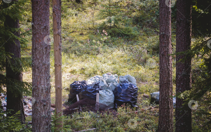 Скачать Мусорная свалка на траве в лесу, концепция экологической катастрофы, загрязняющей природу. фотосток Ozero