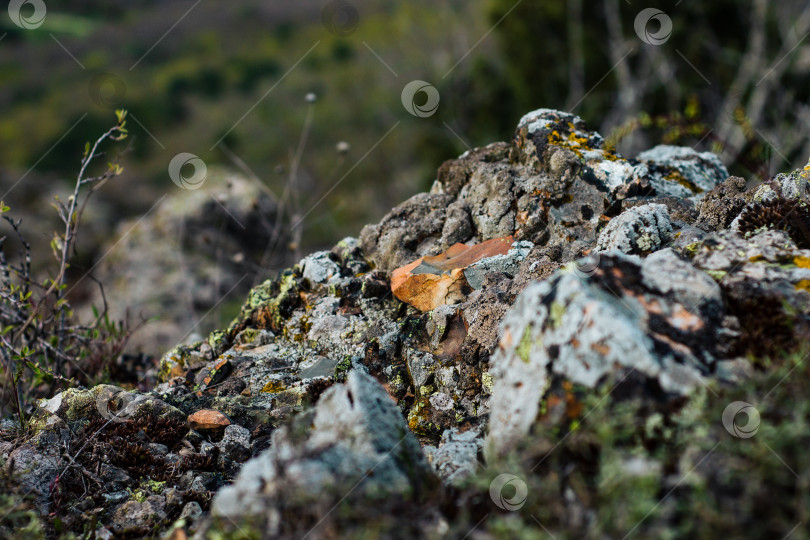 Скачать Краски камней фотосток Ozero