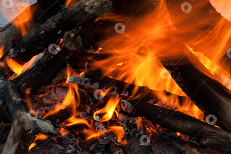 Скачать пылающий огонь фотосток Ozero