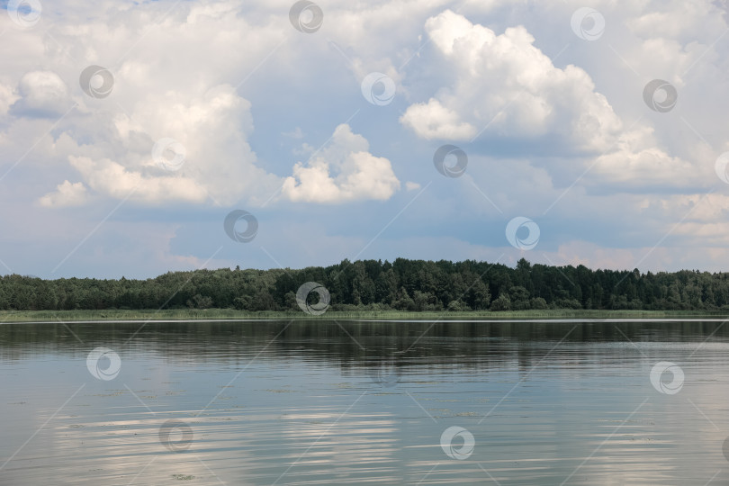 Скачать Живописный вид на озеро, лес и облачное небо фотосток Ozero