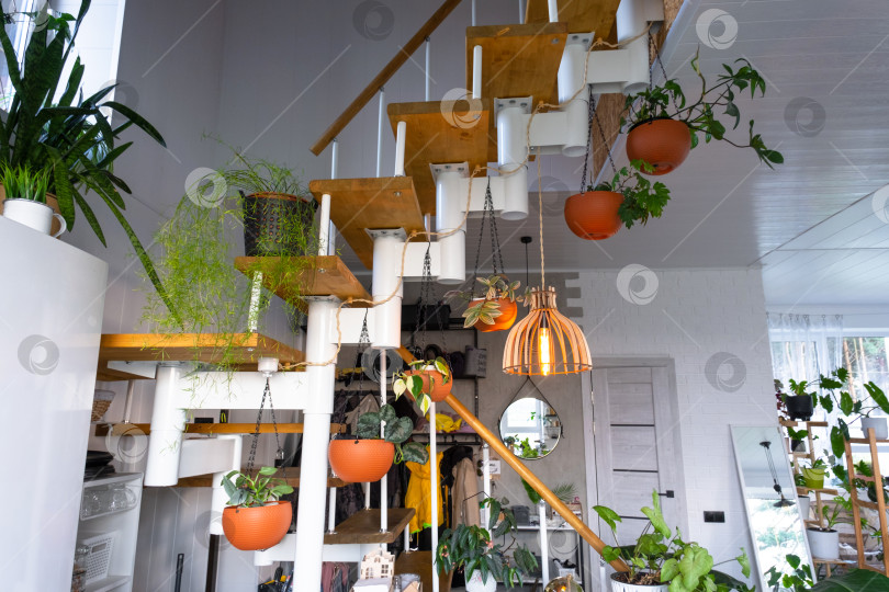 Скачать Модульная металлическая лестница с деревянными ступенями в белом интерьере зеленого домика с растениями в горшках, подвесным цветочным горшком, абажуром фотосток Ozero