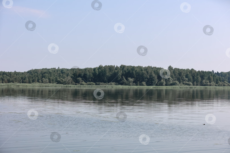 Скачать Живописный вид на озеро, лес и облачное небо фотосток Ozero
