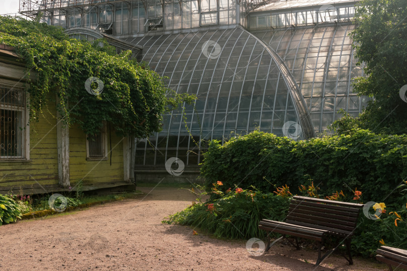 Скачать уголок старого ботанического сада с огромной старинной оранжереей на заднем плане фотосток Ozero