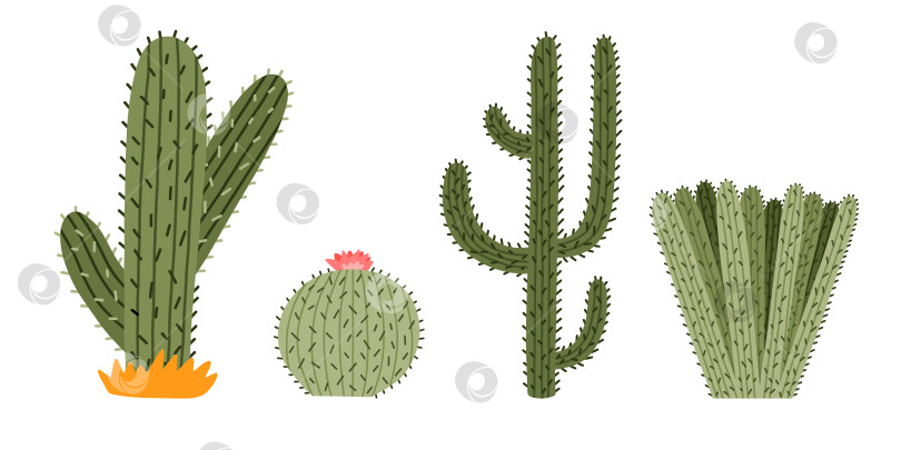Скачать Набор симпатичных нарисованных от руки кактусов сагуаро из Мексики или пустыни Дикого Запада. Векторный простой цветок кактуса с шипами в мультяшном стиле. Мексиканское колючее экзотическое растение, изолированное на белом фоне. фотосток Ozero