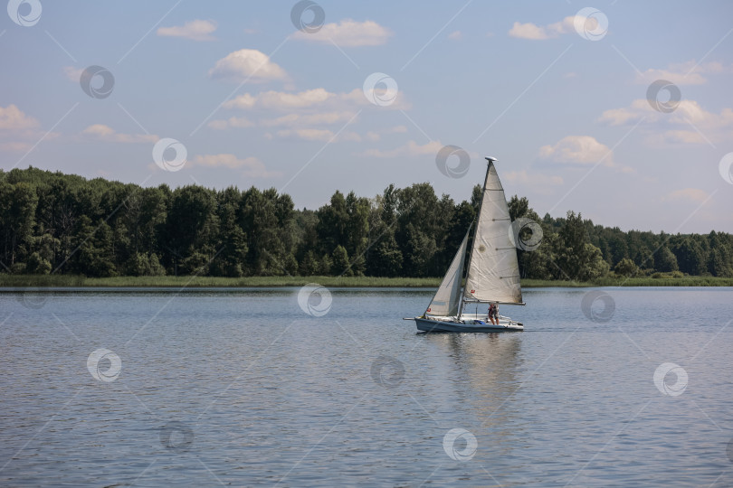 Скачать Яхта на озере на фоне леса и голубого неба фотосток Ozero