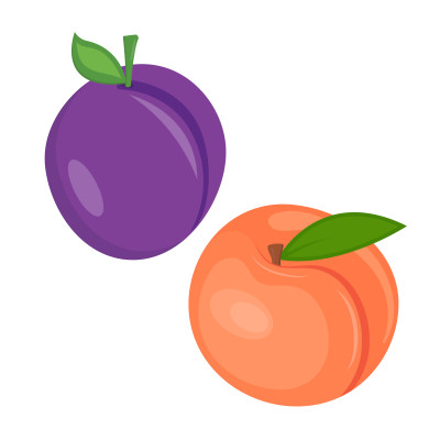 [object Object] undefined