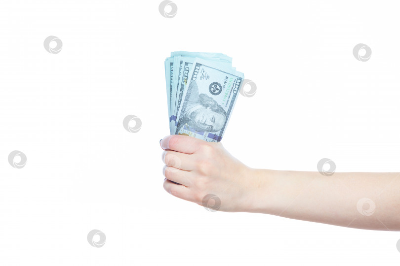 Скачать Крупным планом женская рука, держащая долларовые банкноты на белом фоне. Концепция богатства, благополучия, успеха фотосток Ozero