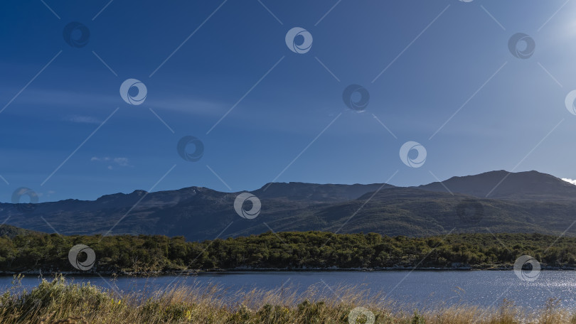 Скачать На берегу голубого озера растет пышный зеленый лес. фотосток Ozero