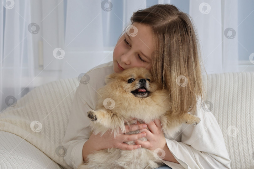 Скачать Девочка играет с собакой померанский шпиц в гостиной фотосток Ozero