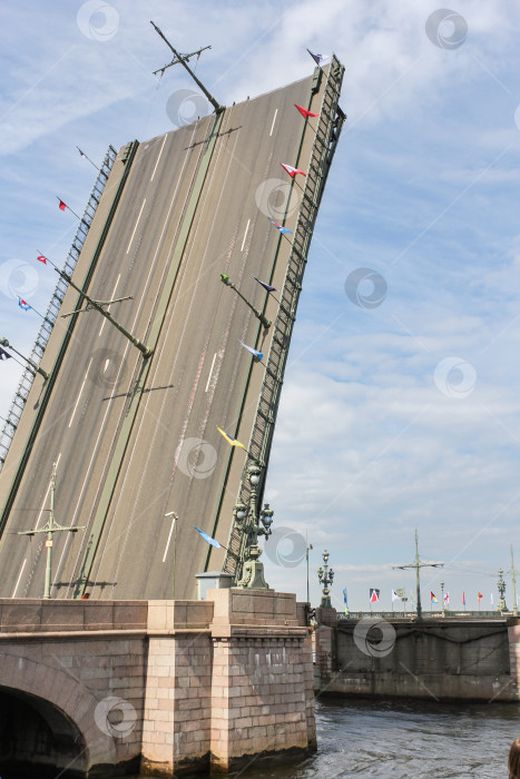 Скачать Разведенный Троицкий мост. фотосток Ozero