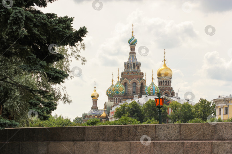 Скачать Купола собора возвышаются над деревьями. фотосток Ozero