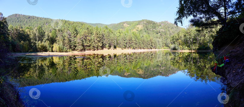 Скачать Панорама озера и соснового леса Деревья отражаются в воде. фотосток Ozero