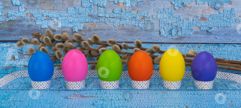 Скачать разноцветные яйца, перевязанные праздничной лентой, и верба на синем деревянном фоне. концепция празднования Пасхи. набор ярких яиц. фотосток Ozero
