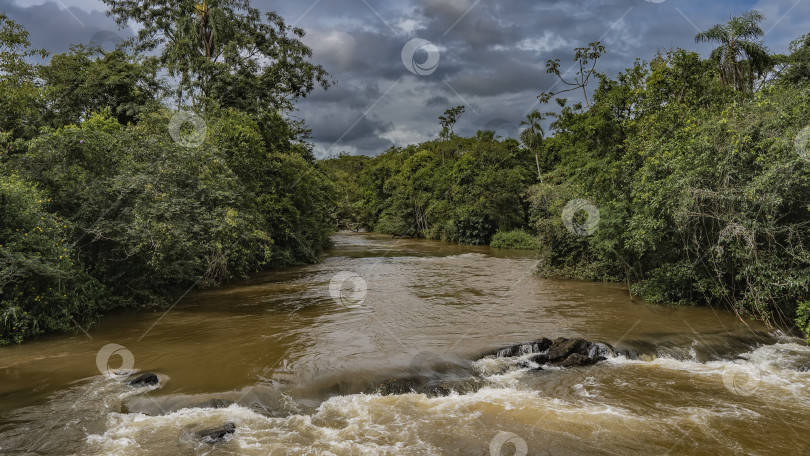 Скачать Река Игуасу протекает в джунглях фотосток Ozero