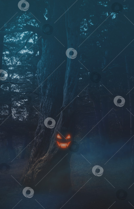 Скачать Мрачный и темный лес. Вертикальный фон Хэллоуина фотосток Ozero