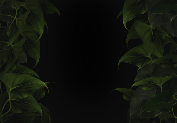 [object Object] undefined