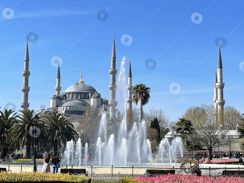 Скачать Голубая мечеть в ранний весенний день в Стамбуле, Турция фотосток Ozero