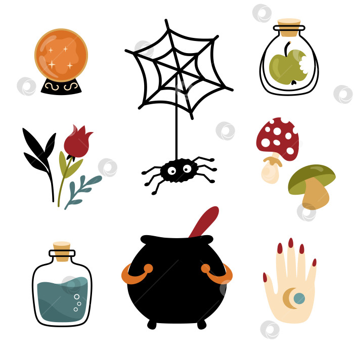 Скачать Элементы дизайна хэллоуинской ведьмы в мультяшном плоском стиле. Паутина, котел, хрустальный шар, зелья и травы. фотосток Ozero