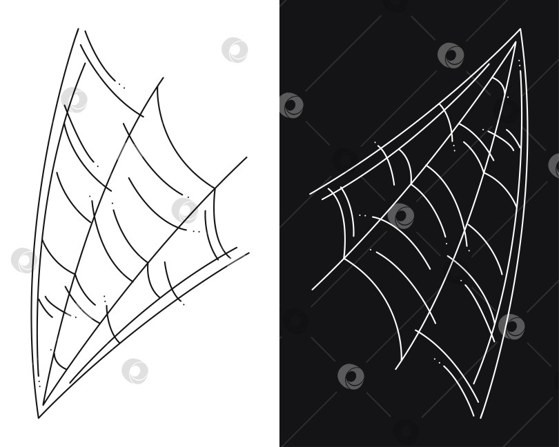 Скачать Небольшой набор паутины как символ Хэллоуина. Черно-белая векторная иллюстрация каракулей. фотосток Ozero
