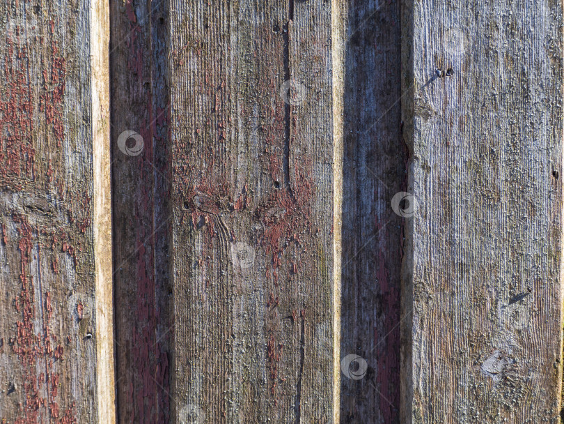 Скачать Старая стена из досок, уложенных вертикально. Деревянный естественный фон с возрастом подвергается атмосферным воздействиям. Деревянный текстурированный фон фотосток Ozero