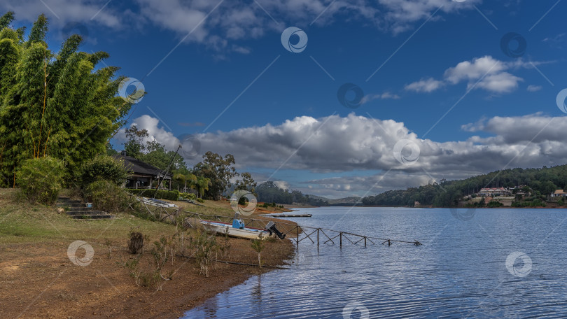 Скачать Зеленая растительность растет на берегу спокойного озера. фотосток Ozero