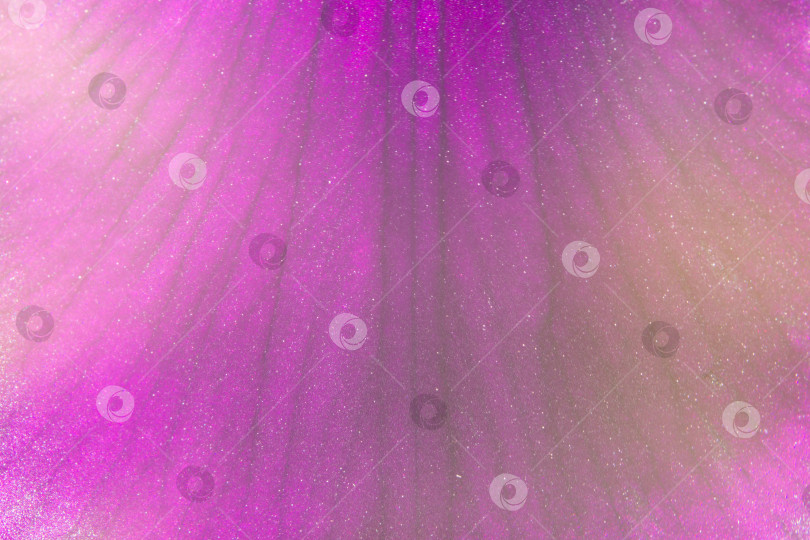 Скачать Элегантный натуральный фиолетовый фон с белыми крапинками и темными полосками. Макросъемка лепестка цветка фотосток Ozero