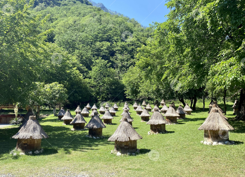 Скачать Деревянные ульи для пчел, покрытые соломой, Абхазия фотосток Ozero